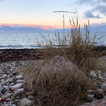 Ferienwohnung-wildblume Petersdorf auf Fehmarn